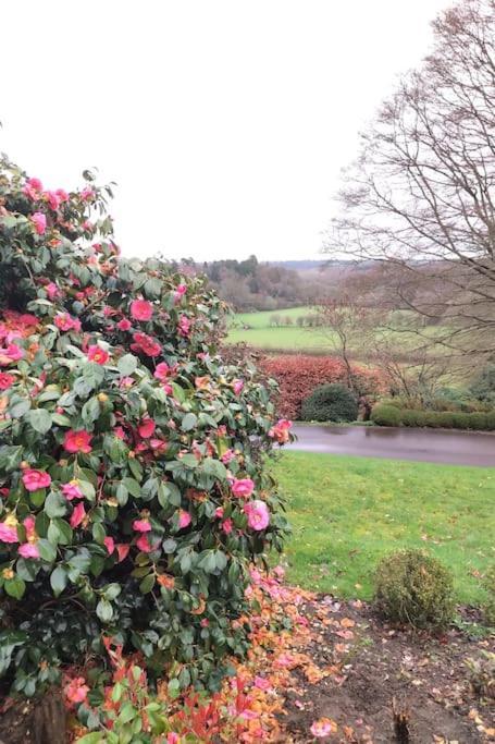 Modern Country Villa, Stunning Gardens And View ロイヤル・タンブリッジ・ウェルズ エクステリア 写真